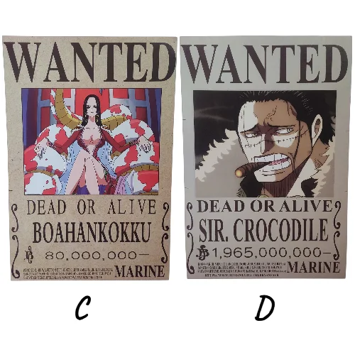 Posters One Piece (WANTED)
