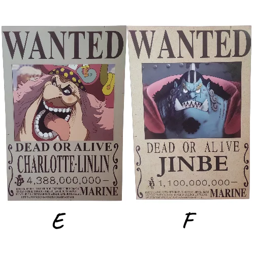 Posters One Piece (WANTED)
