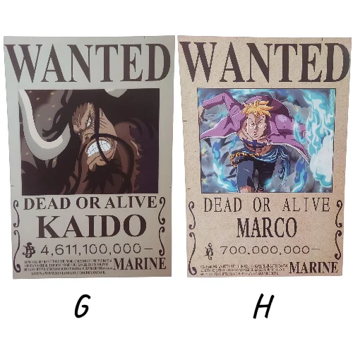 Posters One Piece (WANTED)