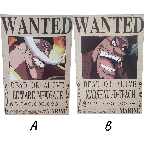 Posters One Piece (WANTED)